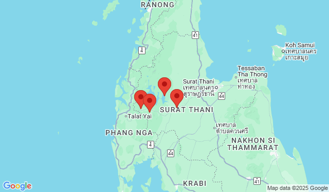รวมที่พัก แพเขื่อนเชี่ยวหลาน
