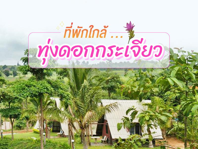 ที่พักใกล้ ทุ่งดอกกระเจียว